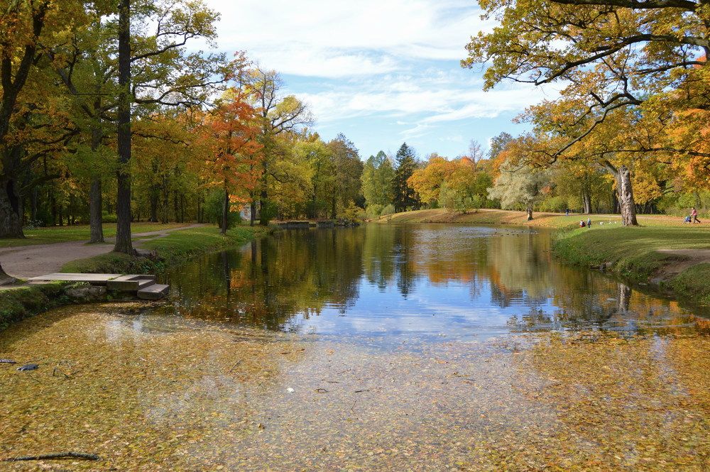 Осень в Пушкине