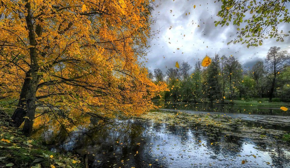 Последний танец листопада