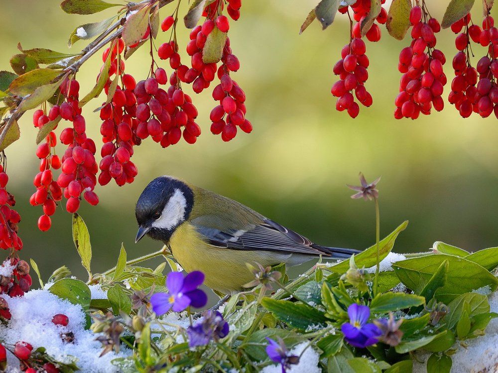 Не бабье лето
