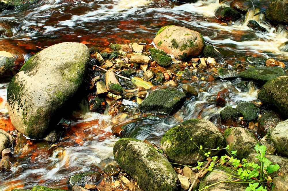 Среди камней журчит родник