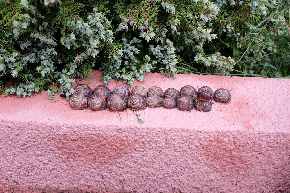 Утренний обход