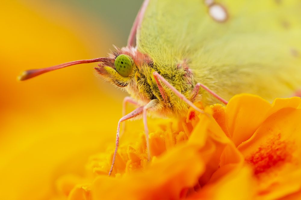Photograph by Юрий Котов