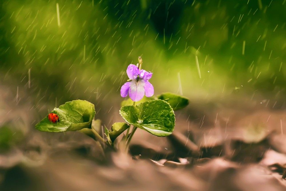 Photograph by Юрий Котов