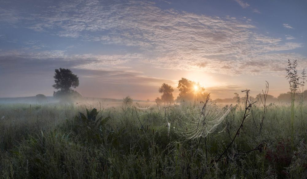 утро  туманное