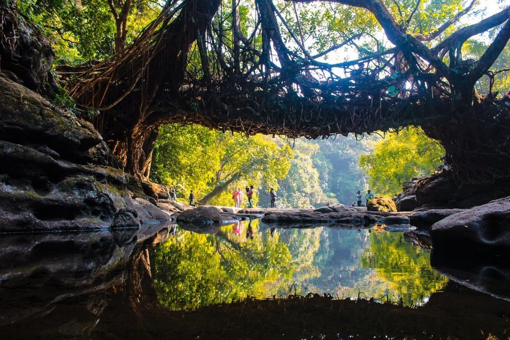 The power of Nature.