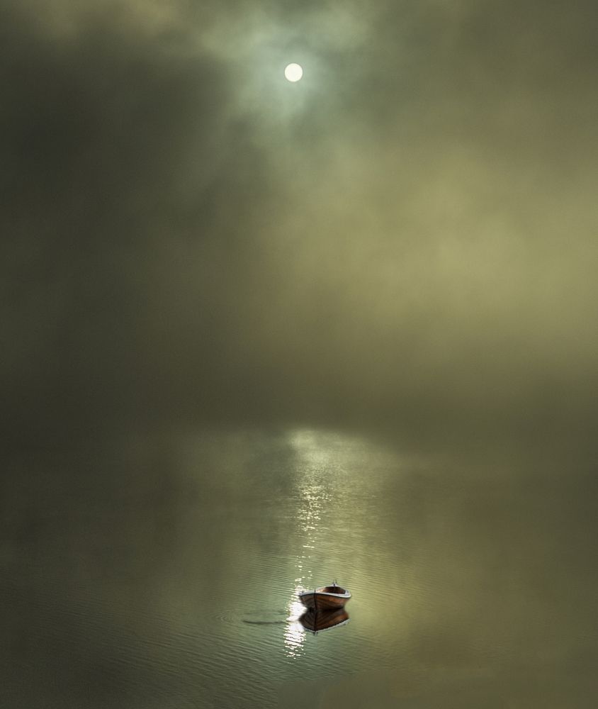 the mystical forces of nature