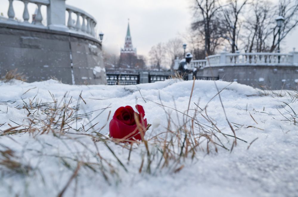 love is dead. life goes on...