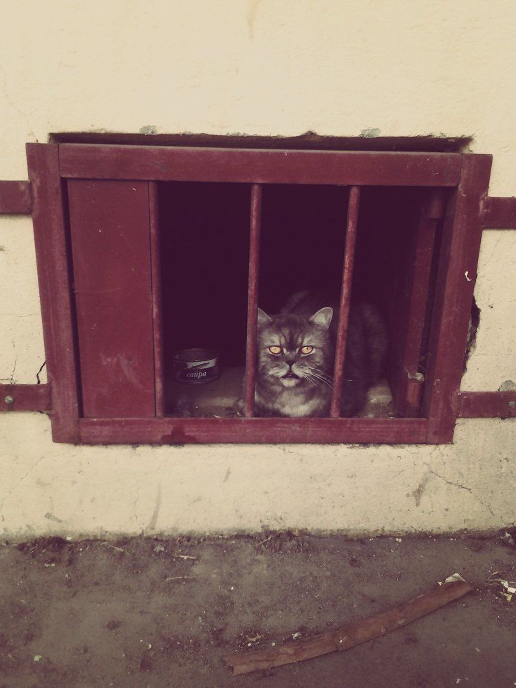 отрешенный
