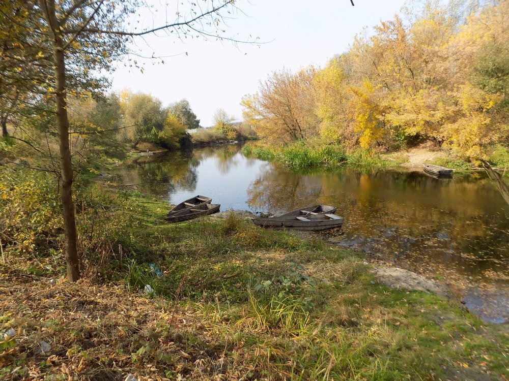 Осень на берегу