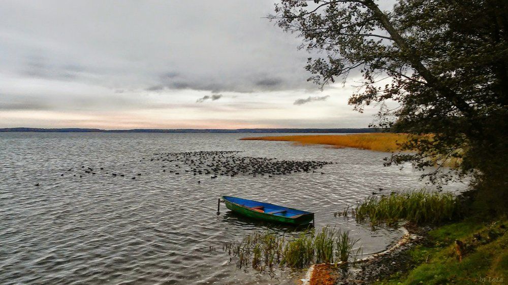 Осень на озере Нарочь. Беларусь