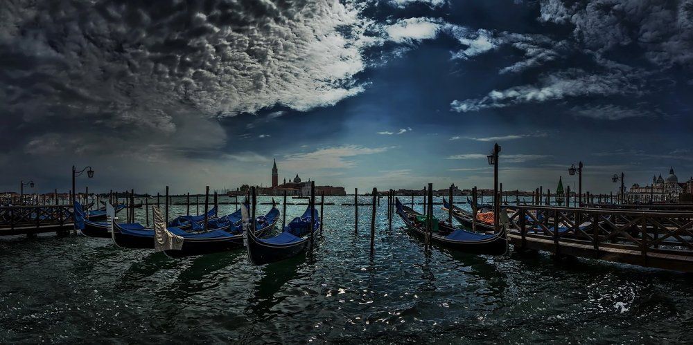 "Черные лебеди" Венеции