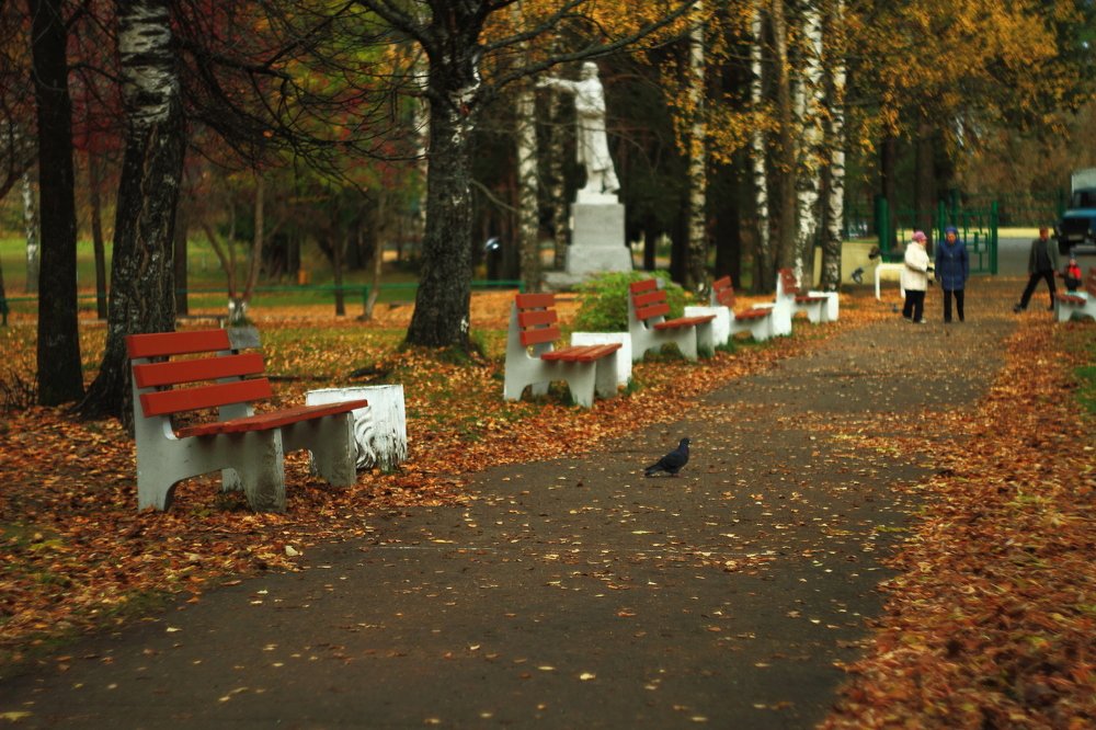 в осеннем парке...