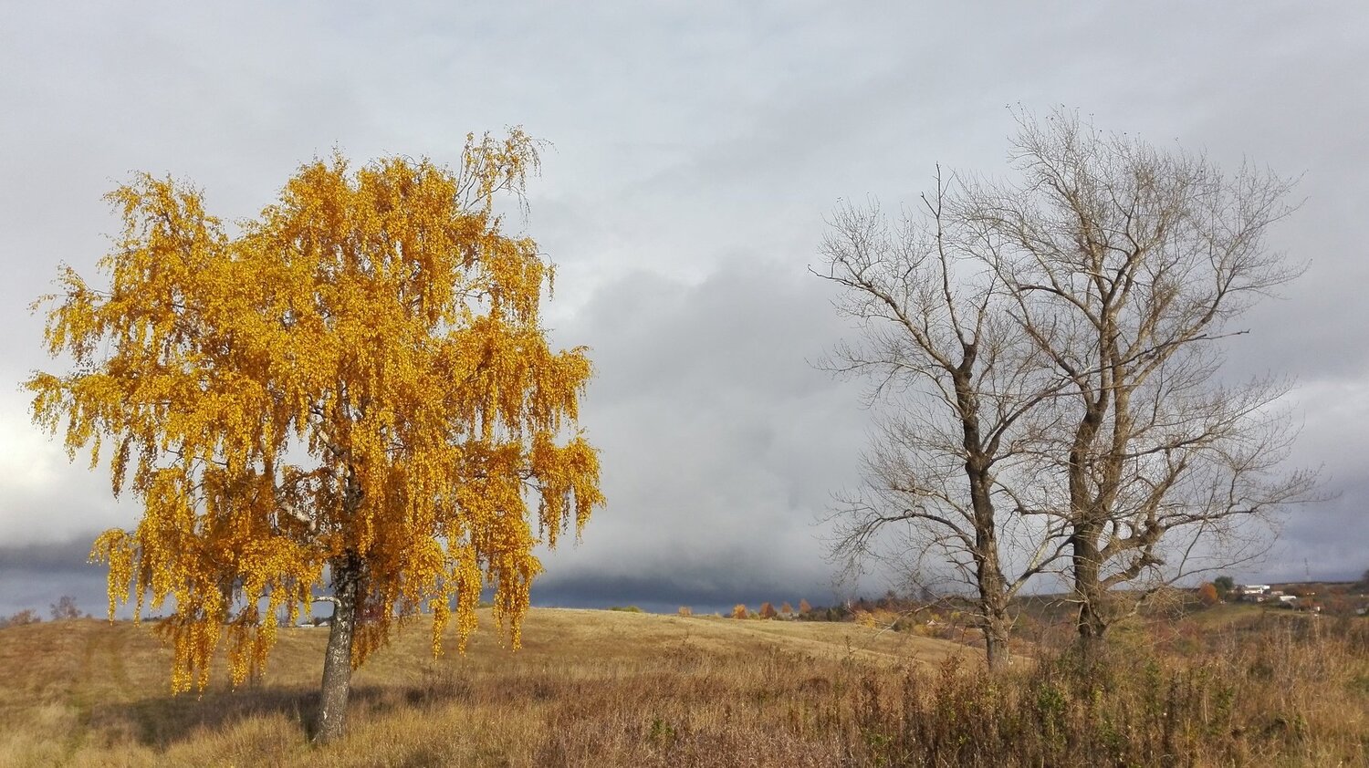 Осень