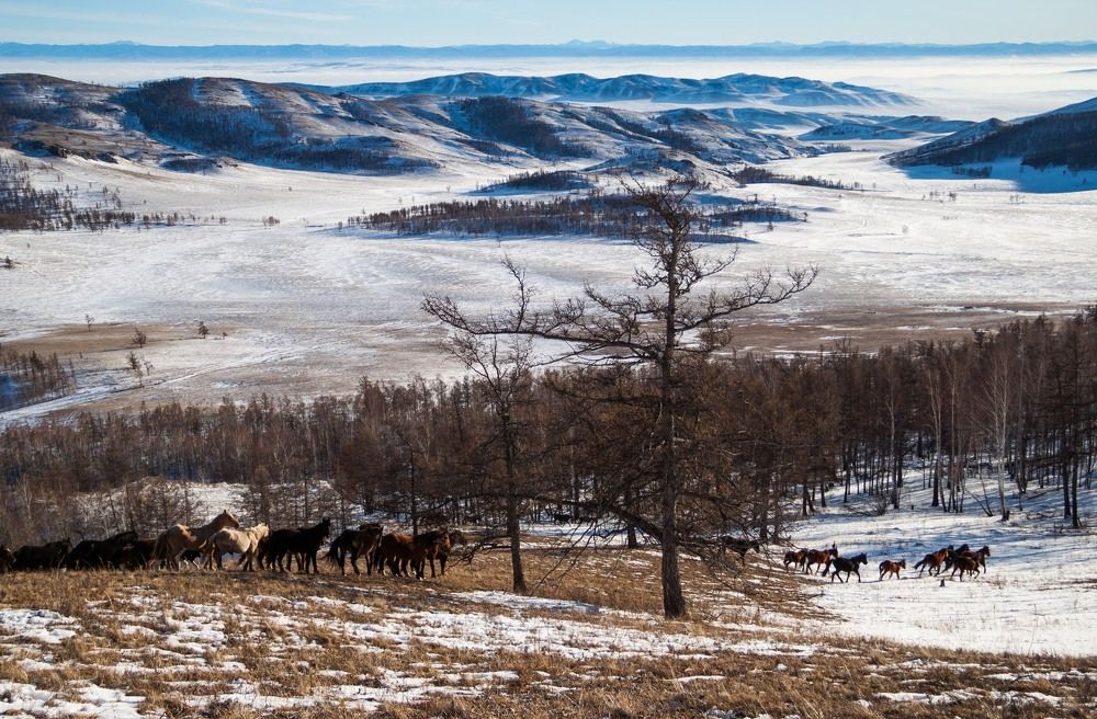 Саксырский хребет. Хакасия.