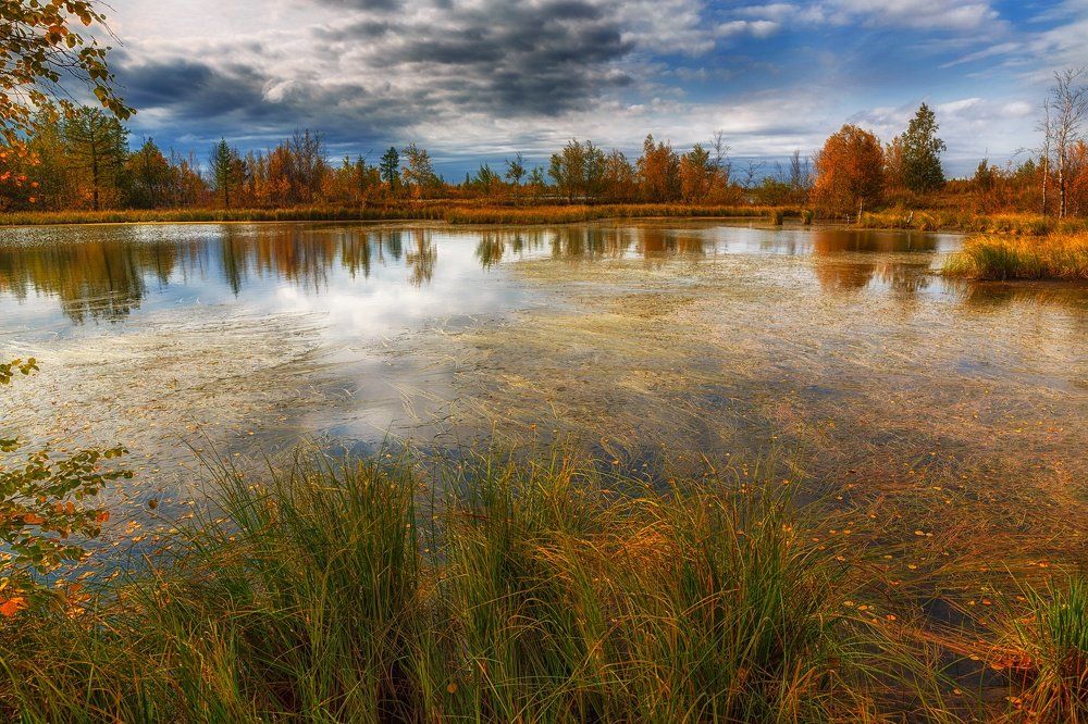 Краски Осени