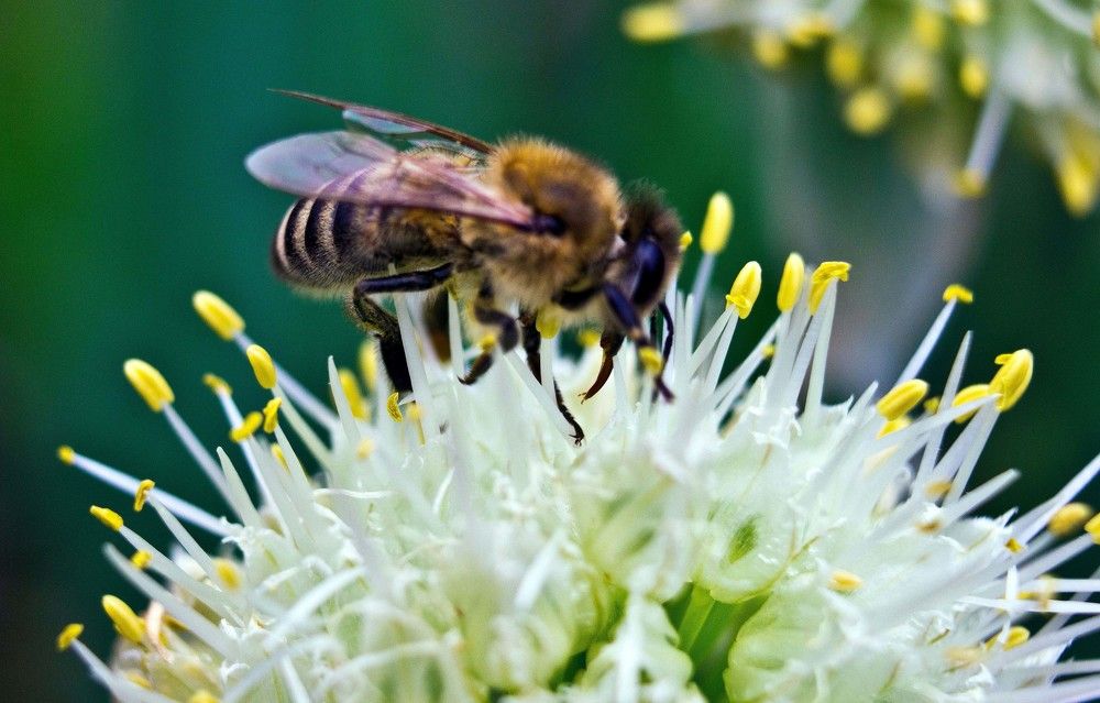 Photograph by Александр Потапов