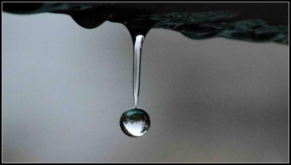 The drop of life