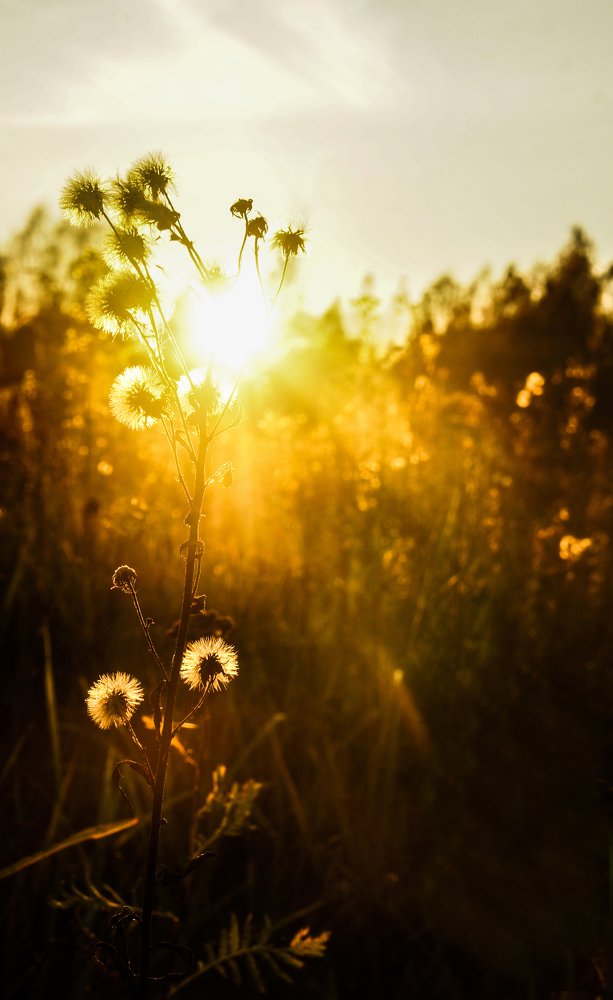 Прощание с солнцем