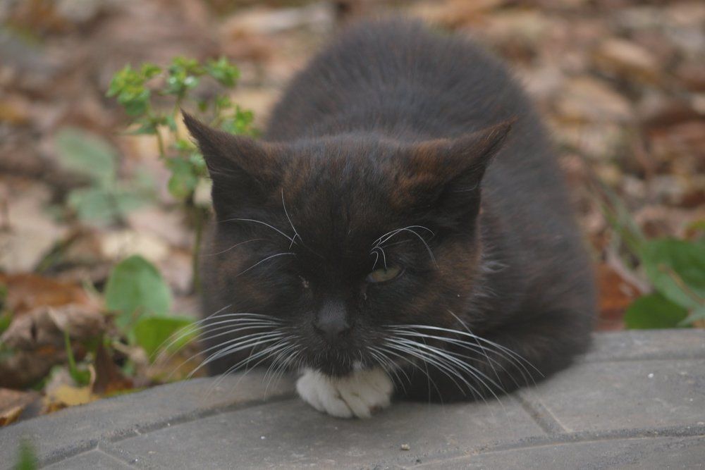 Photograph by Тим Талер