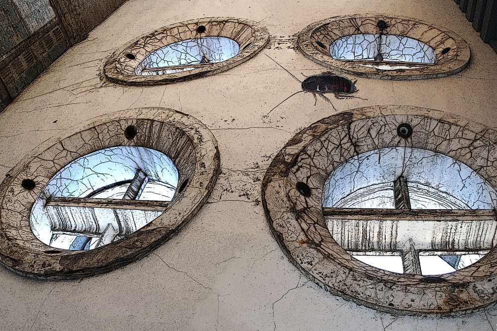 Свет...где-то там