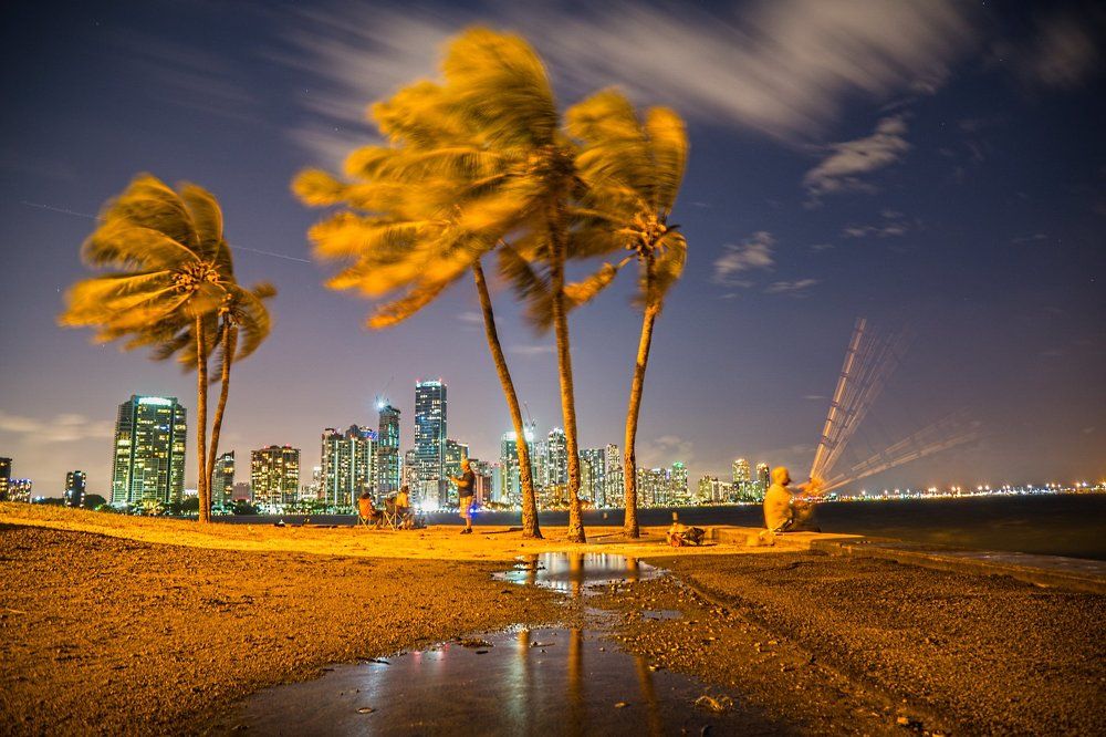 Ловись, рыбка, большая и маленькая!