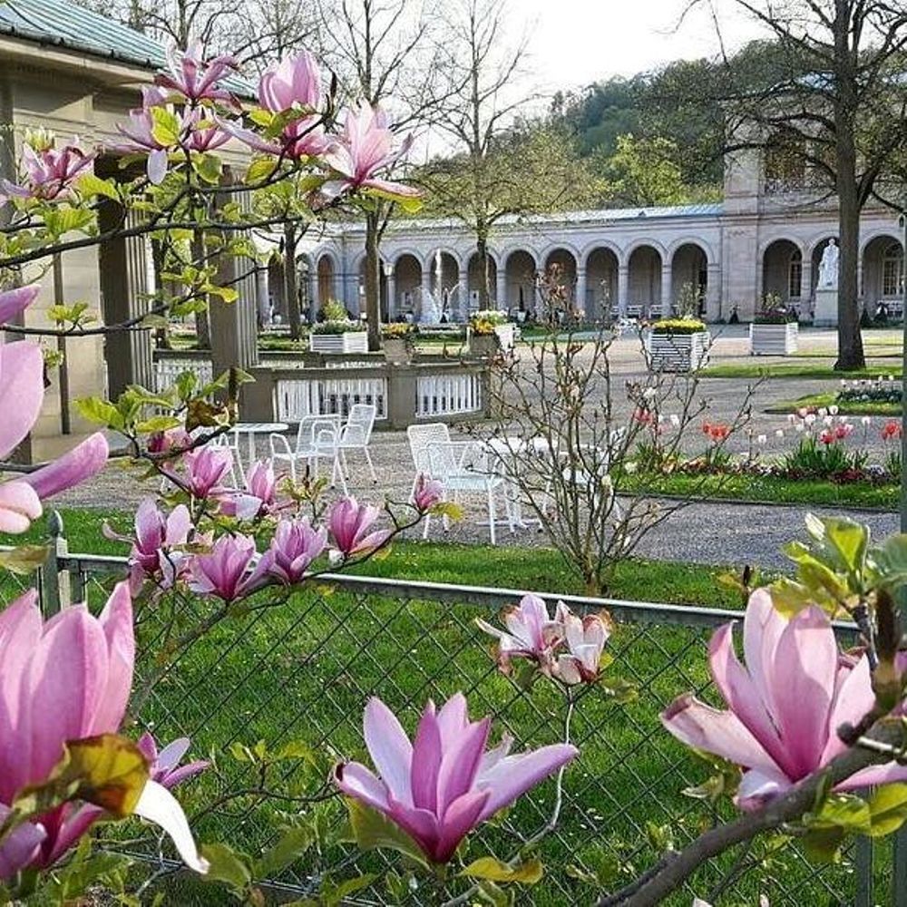 Photograph by Дарья Турова