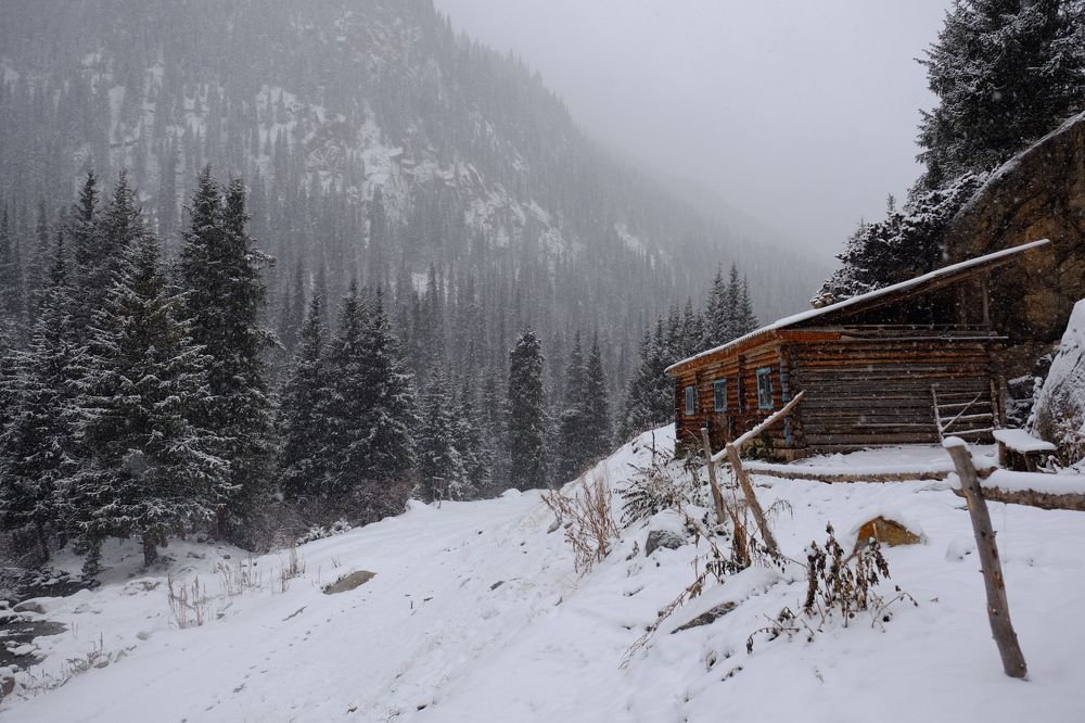 Снежная сказка