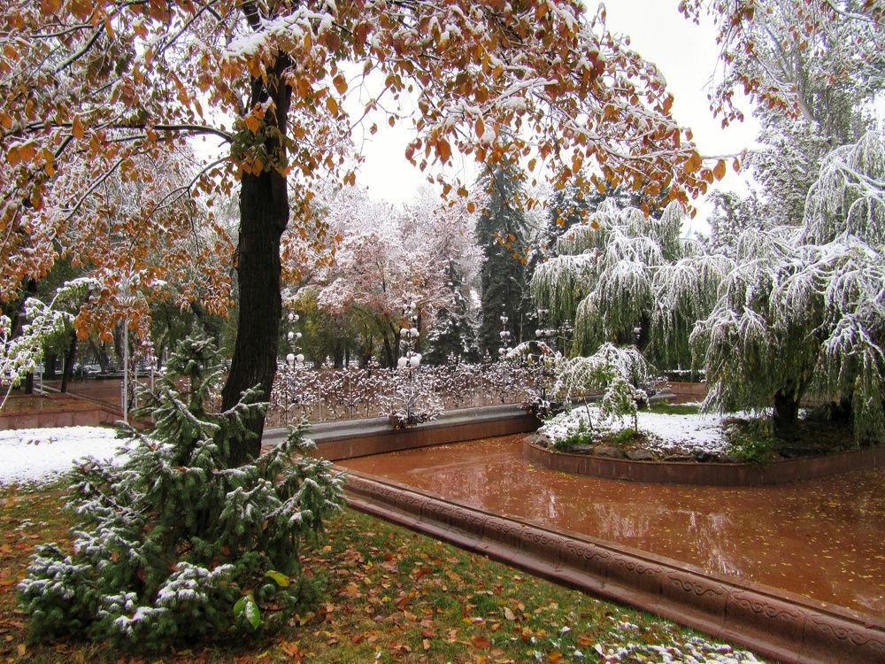 Алматинский октябрь