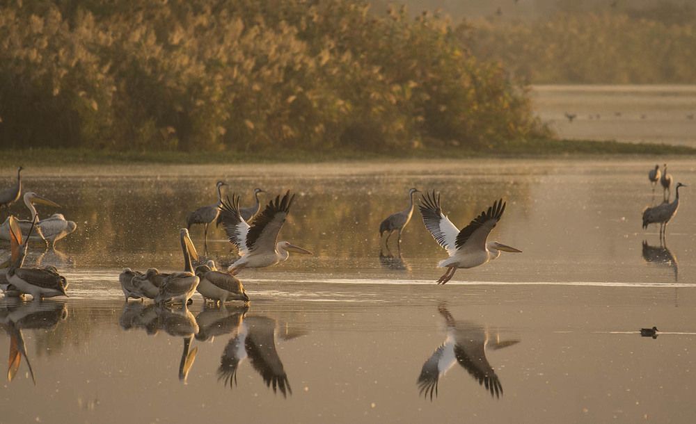 В лучах рассвета