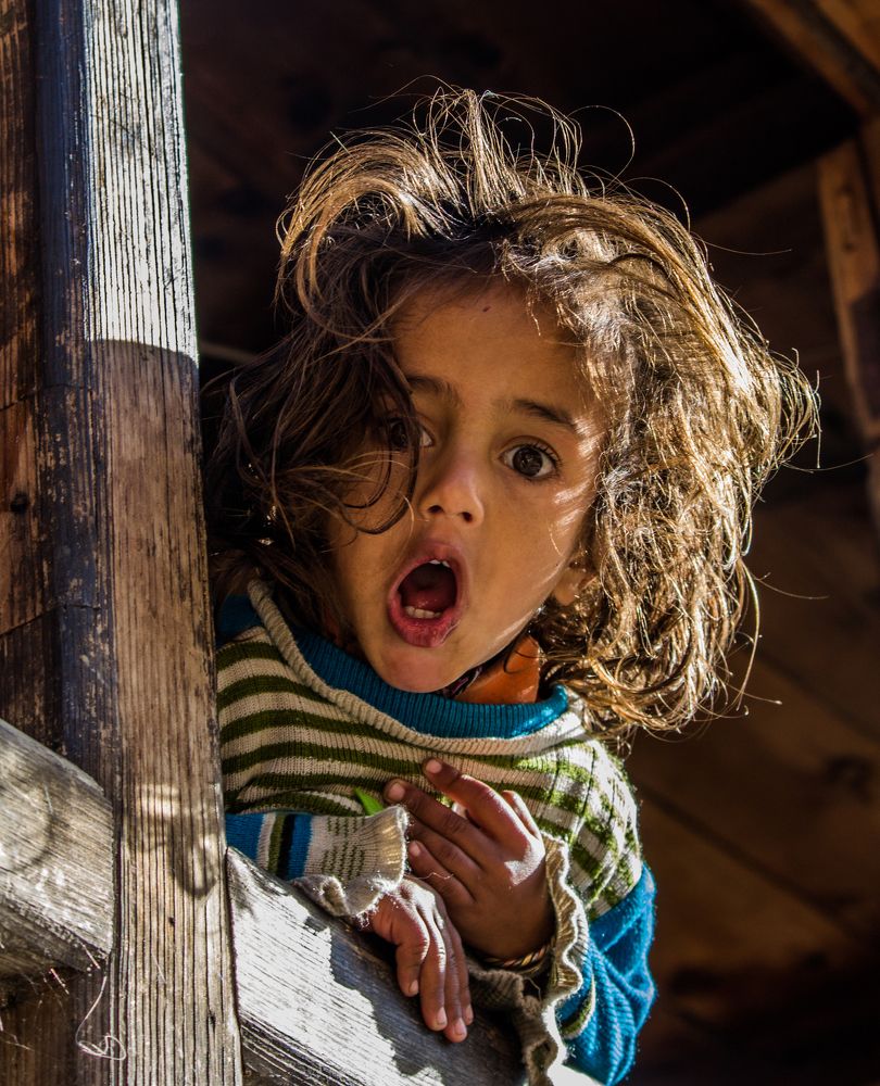 Himalayan Kid Excitement