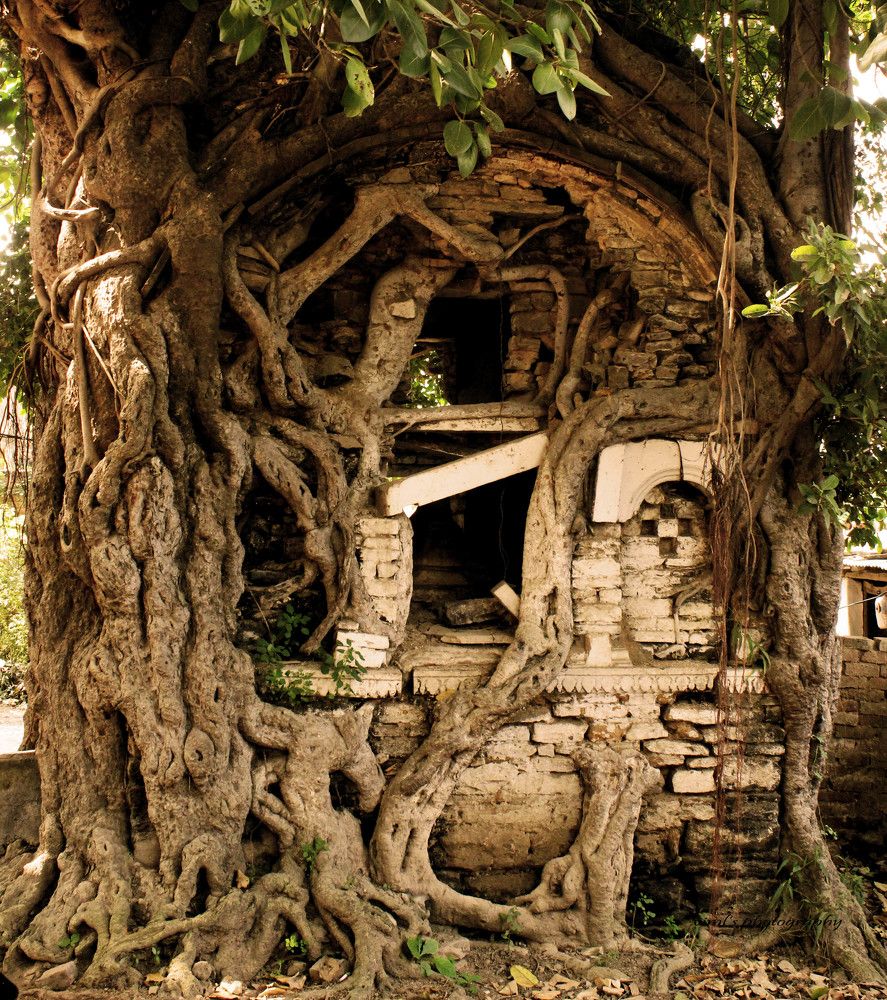 Nature and God