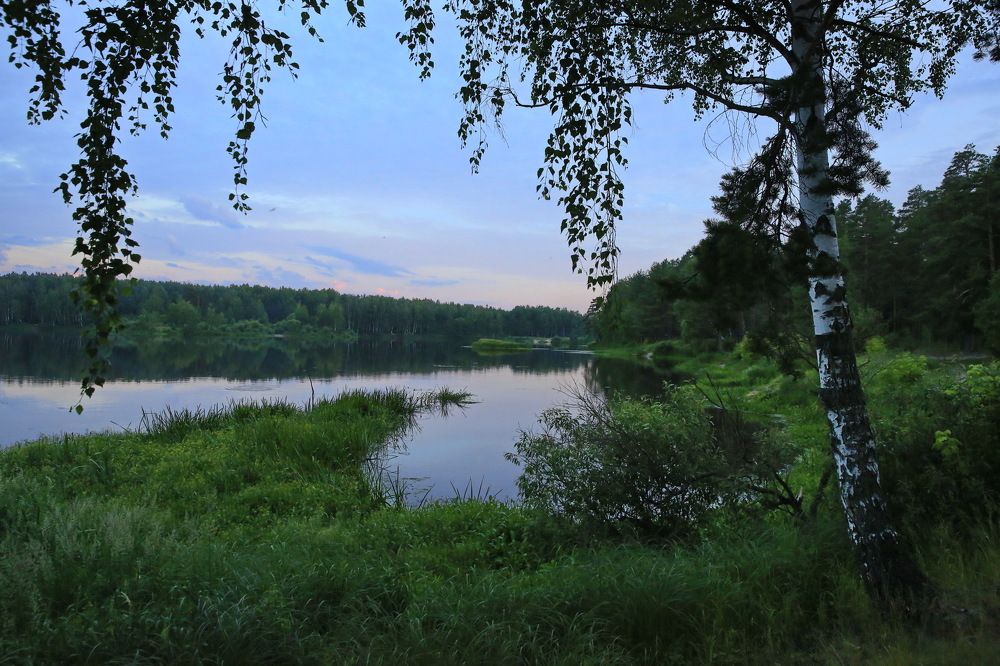 Подмосковные вечера