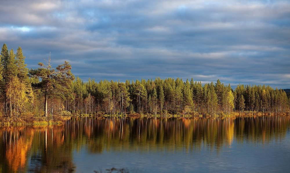 северная осень