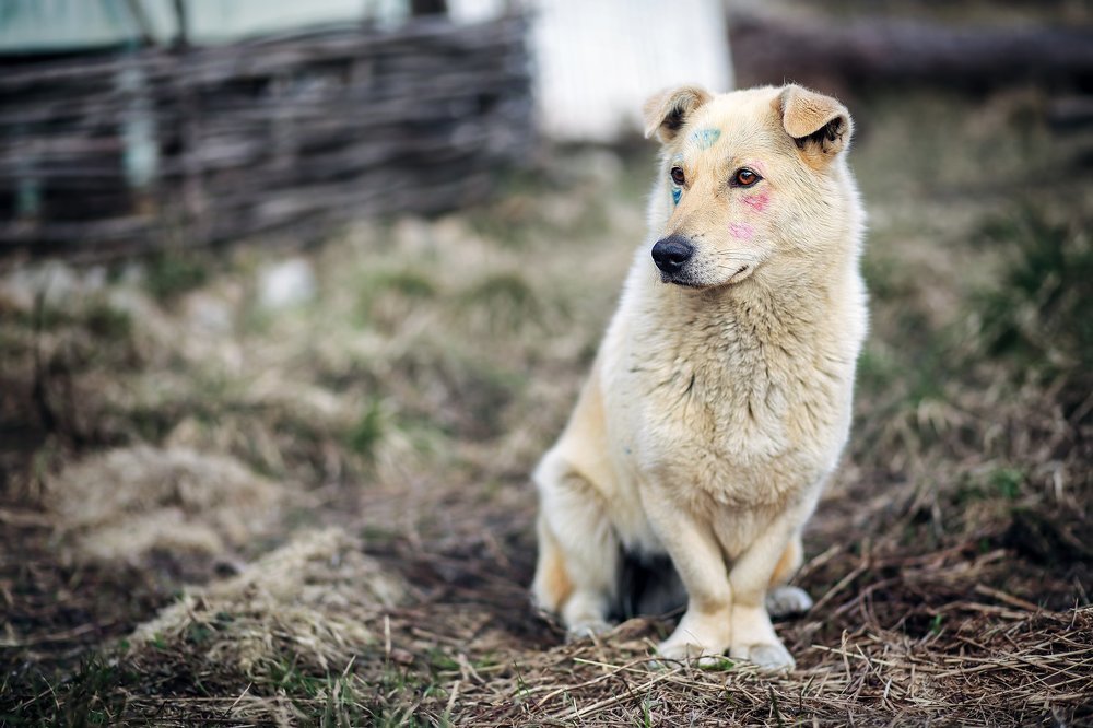 Поиграл на пасху с детьми