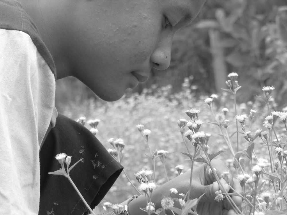 Boy's Flower