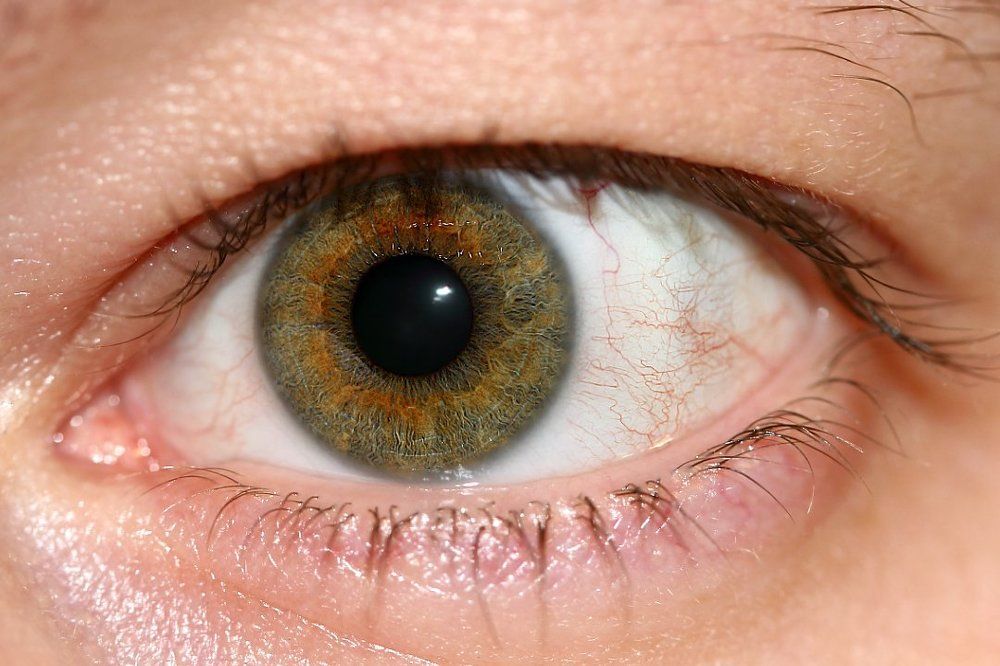 Максимум приближения...