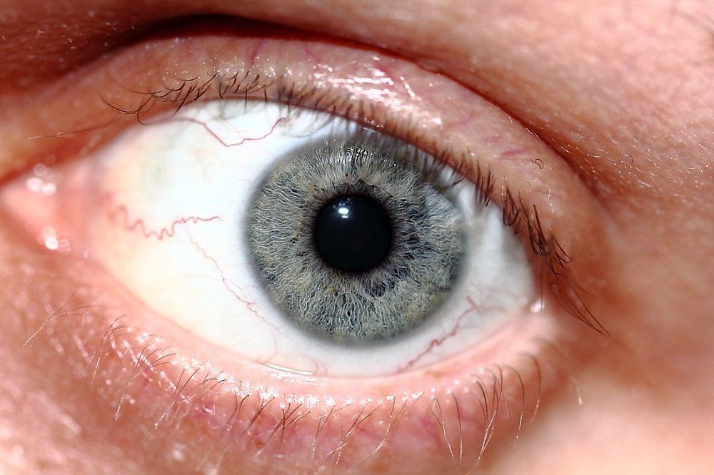 Смотрим внимательно, не моргаем...