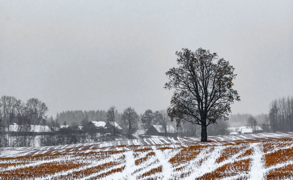 Ранний снег