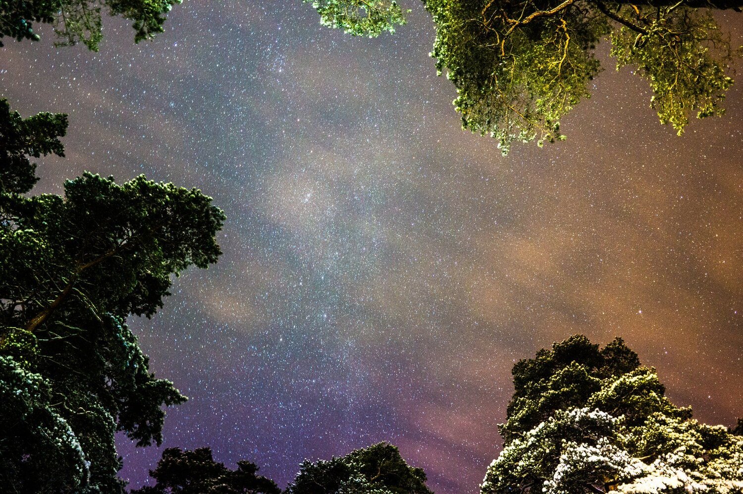 Sky