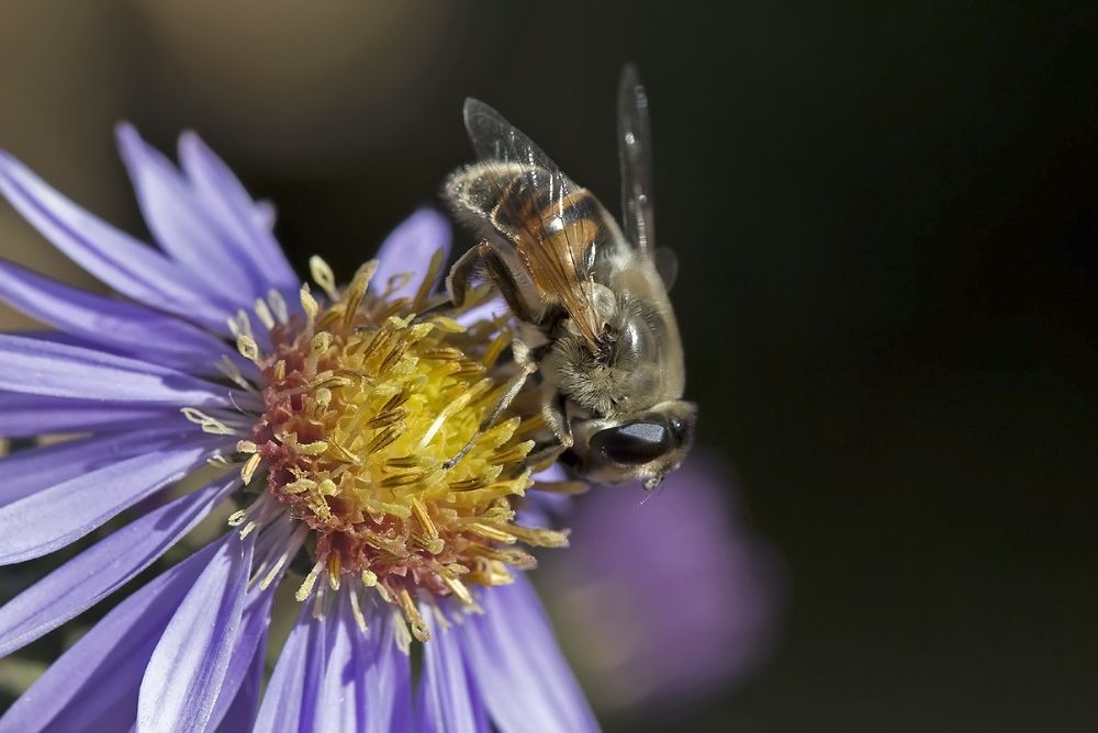 Октябрь, 2016