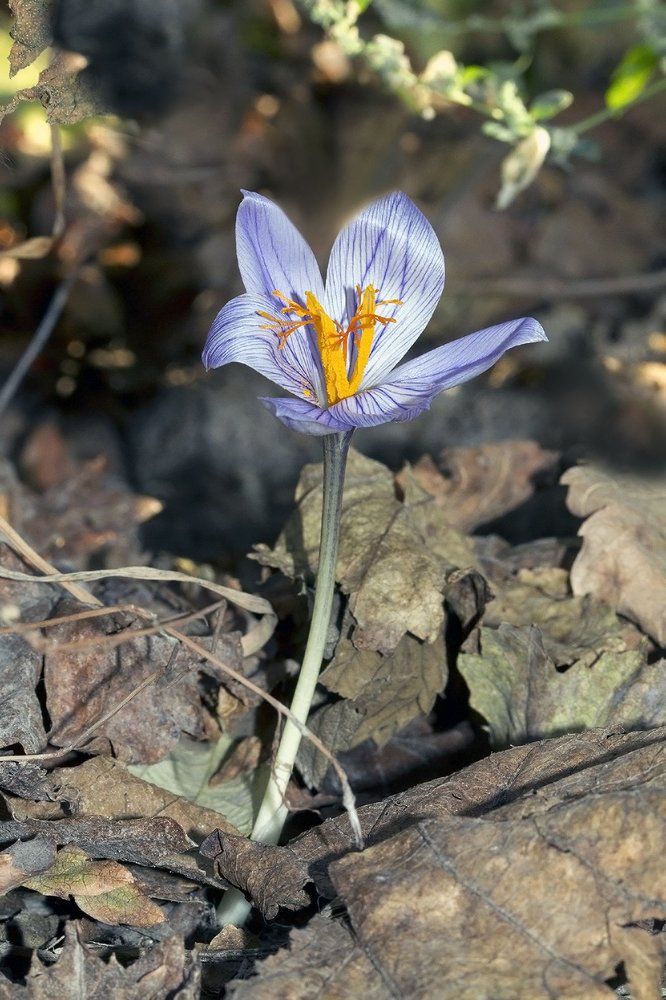 Привет из Октября