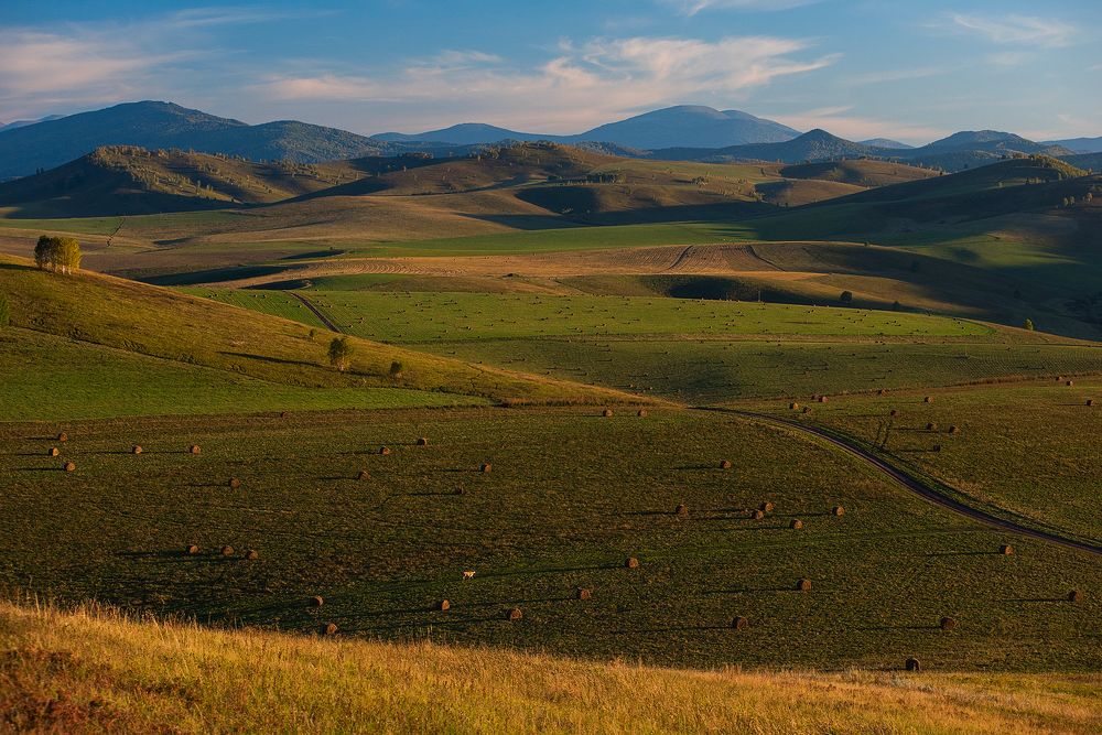 Алтайская Тоскана