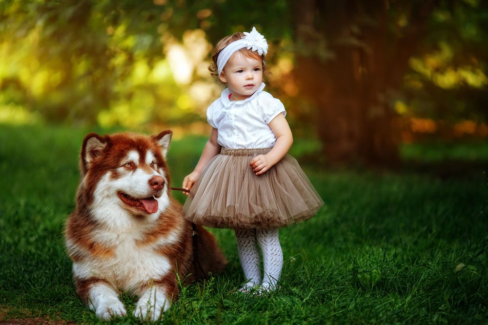 детская фотография