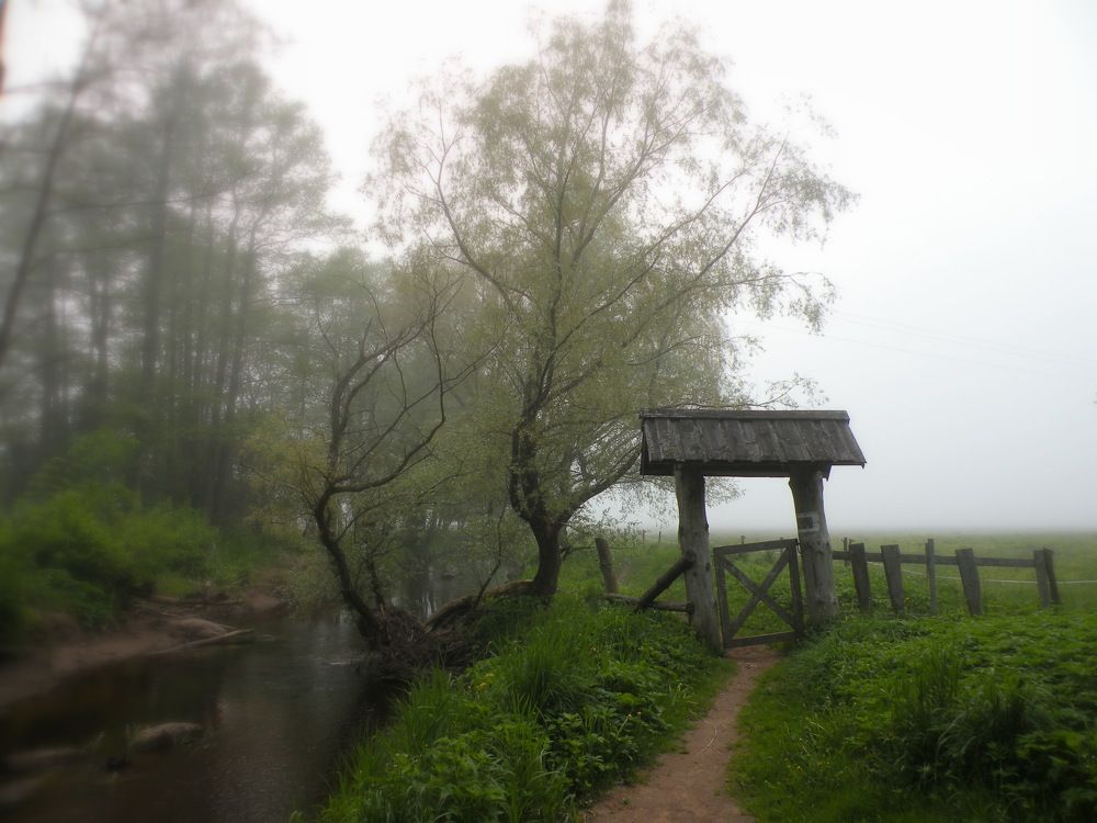 Калитка в туман