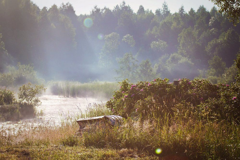 Утренний свет