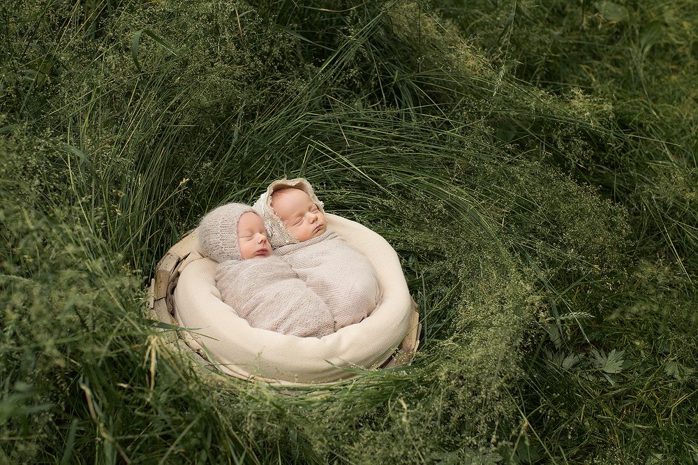 Королевская двойня