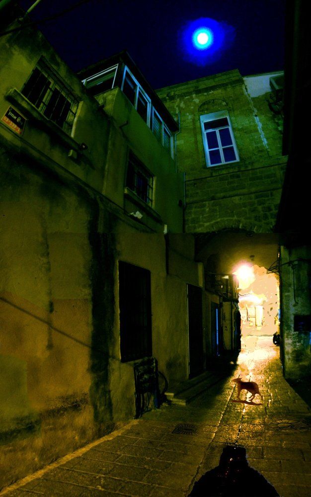 Мартовский ноктюрн