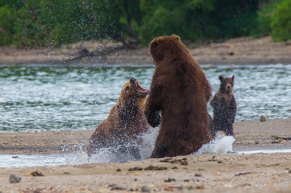 На защите детства