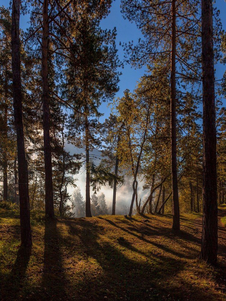 Утро в Архызе