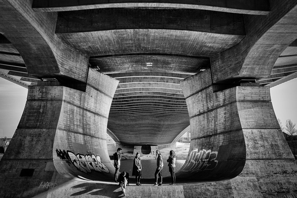 Ноев ковчег